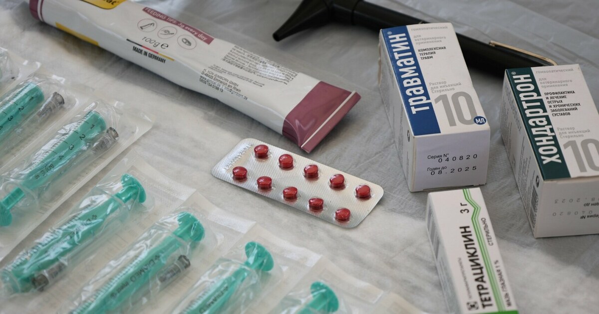Importação de medicamentos: controles para empresas